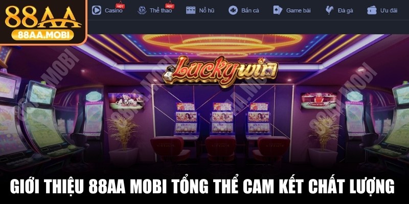 Giới thiệu 88AA tổng thể cam kết chất lượng hoàn hảo